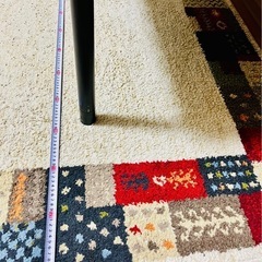 【0円】ニトリ　カーペット