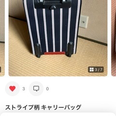 キャリーバック
の画像
