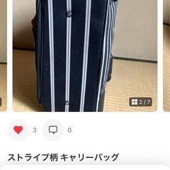 キャリーバック
の画像