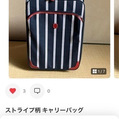 キャリーバック
