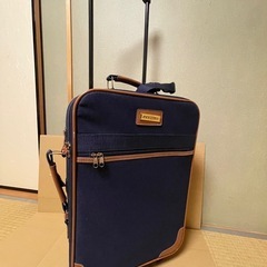 キャリーバッグ USEDの画像
