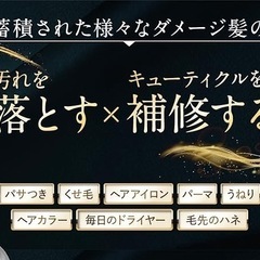 ココネ クレイクリームシャンプー 極上のうるツヤ髪へ [ シャンプー クリームシャンプー クレイ オールインワン 補修 保湿 ]の画像