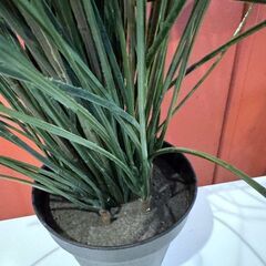 フェイカ 人工観葉植物,  フェイクグリーン グラス, 70 cmの画像