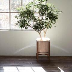 観葉植物スタンド13号用 ポットスタンドの画像