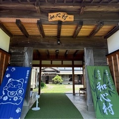 自然と猫に囲まれたグランピング施設🏕️運営手伝いスタッフ、客室清...