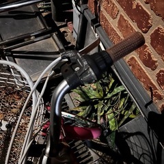 子供　自転車　22インチ　変速6段階の画像