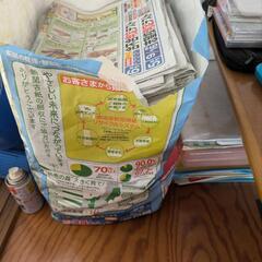 子供新聞の画像