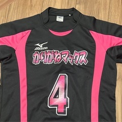 ✨刈谷市かりがね小学校区✨ママさんバレーメンバー募集🏐