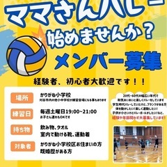 ✨刈谷市かりがね小学校区✨ママさんバレーメンバー募集🏐経験者大歓迎❣️