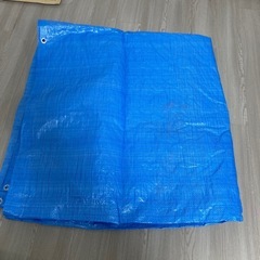 【急募】でっかいブルーシートの画像