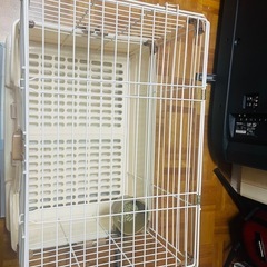 ウサギ用ゲージの画像