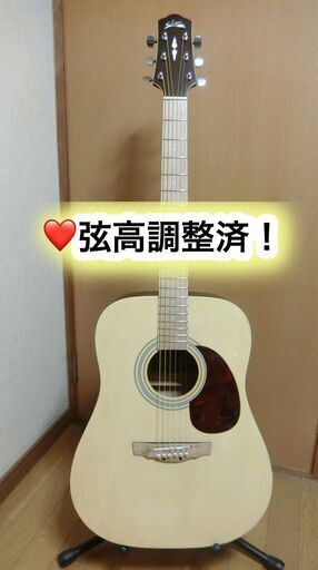 ❤️弦高調整済！「Star Sun DG-120NA」かわいいチャレンジギタ〜♫