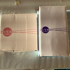 たち吉　食器　まとめ売り　新品