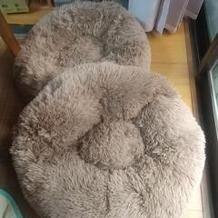 犬猫さんの冬用クッションの画像