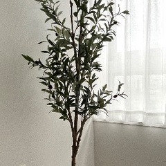 光触媒人工観葉植物(オリーブ、170Cm)  2023年6月購入...