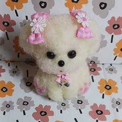 ほっぺほんのりピンクなマルチーズ　羊毛の画像