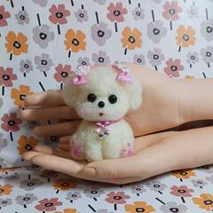 ほっぺほんのりピンクなマルチーズ　羊毛の画像