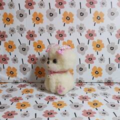 ほっぺほんのりピンクなマルチーズ　羊毛の画像