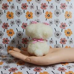 ほっぺほんのりピンクなマルチーズ　羊毛の画像