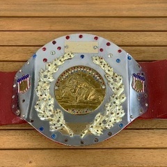 プロレスチャンピオンベルトの画像