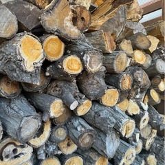 サービスあり‼️✨薪‼️✨広葉樹（薪ストーブ、焚き火、キャンプ、BBQ）の画像