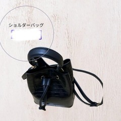 黒  グリーンパークス　2ウェイキンチャクショルダーバッグ
