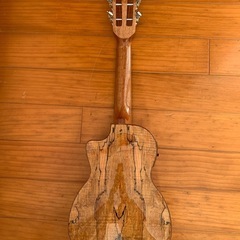 エレクトリックウクレレ
の画像