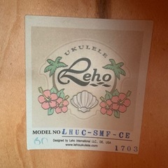 エレクトリックウクレレ
の画像