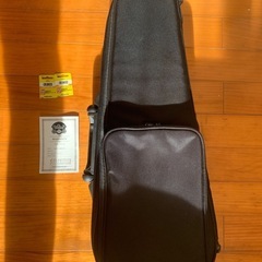 エレクトリックウクレレ
の画像