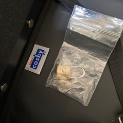 GERRY Cosby キャリーバッグの画像