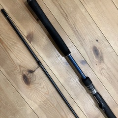 XESTA ランウェイSRF10ＭＬの画像