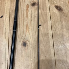 XESTA ランウェイSRF10ＭＬの画像