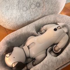 SONY aibo ERS-1000  の画像