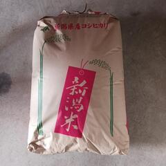 令和6年度新潟産コシヒカリ