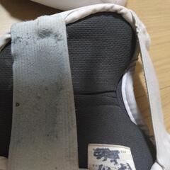 ミズノ　空手拳サポーター、防具セットの画像