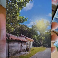 【無料配布】沖縄久高島　イラブーポスター＆写真はがきの画像