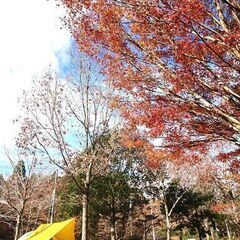 受付終了□2月キャンプ募集● 2/23（日）～24 （月祝）現地集合-解散？＠千葉市少年自然の家 - いすみ市