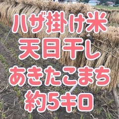 2024年産★ 天日干し ハザ掛け米 あきたこまち 約5キロ