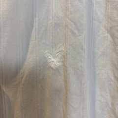 アメリカンイーグルの画像