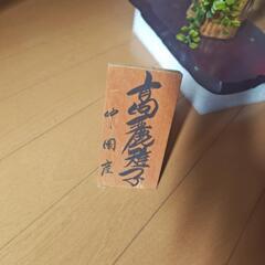コウライキジの剥製の画像