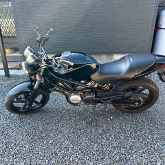 VTR250