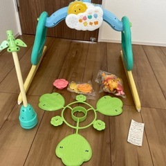 プーメリーの画像