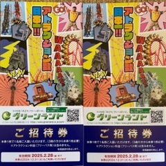 【お得】グリーンランド　ペア入場券