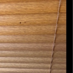 パーテーション、間仕切り（お引取り先、決まりました）の画像