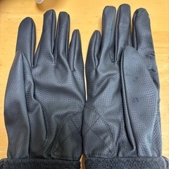 野球　エルボーガード、フッドガードとバッティンググローブMサイズの画像