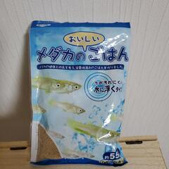 決まりました🙇‍♀️🌼メダカの餌差し上げます！