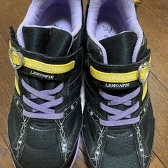 未使用 瞬足レモンパイ　23.0E  
