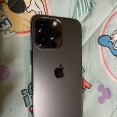 iPhone13プロ256ギガ　値下げ不可