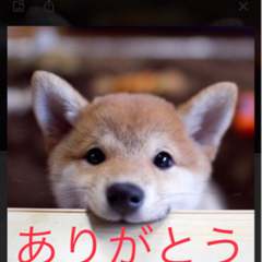 お取引き終了しましたの画像