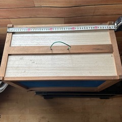 虫カゴ　カゴ　昆虫　爬虫類の画像